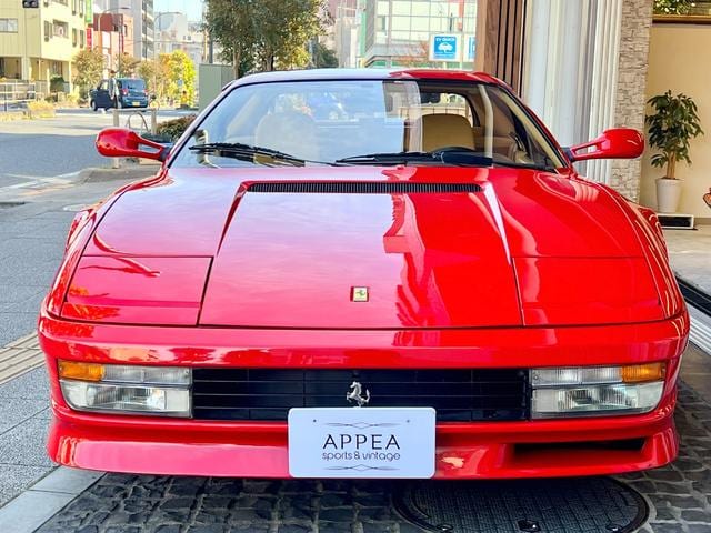 1991 Ferrari Testarossa Berlinetta, photo 2