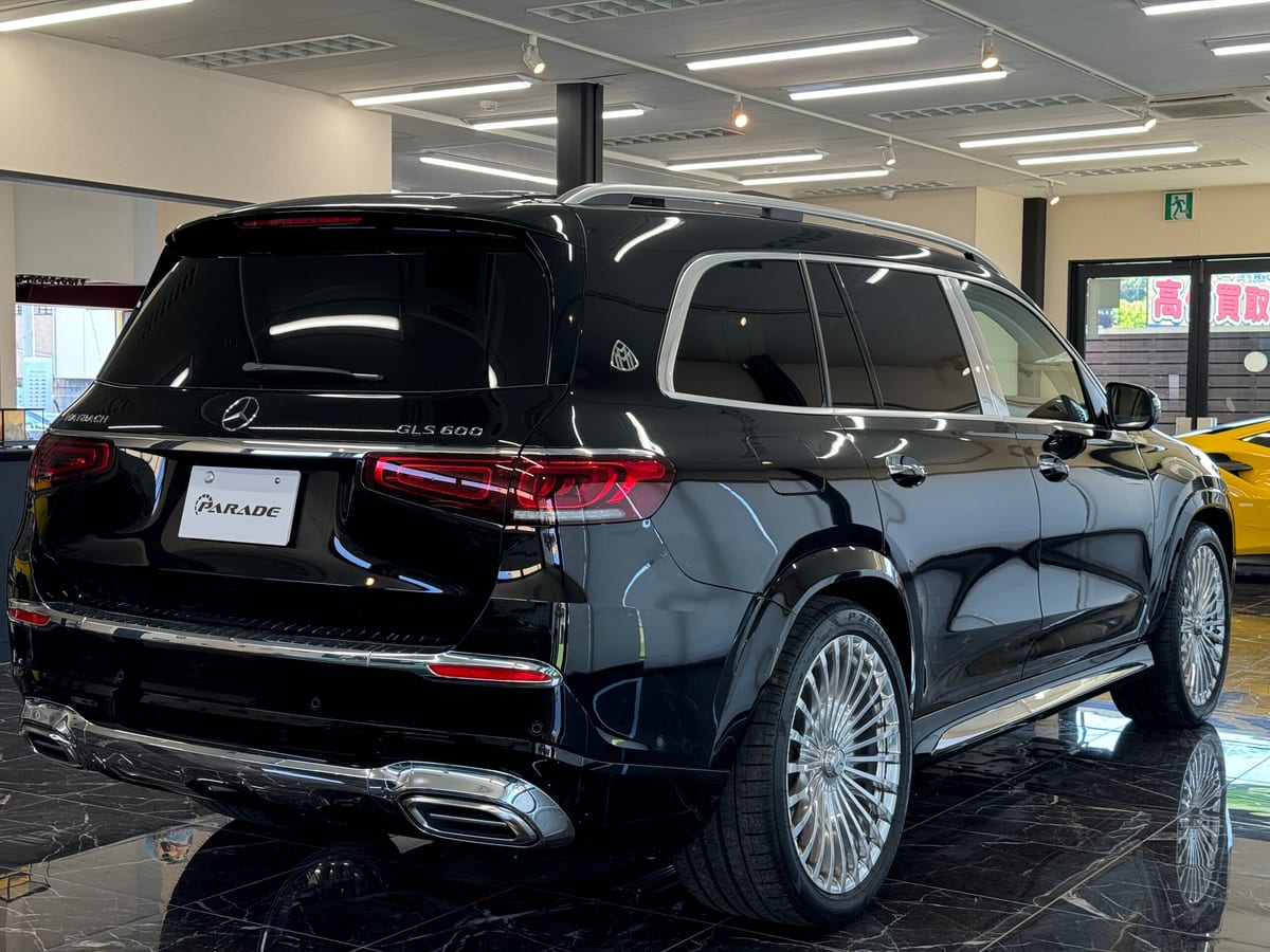 2023 Mercedes-Maybach GLS GLS600 4Matic (ISG), photo 2