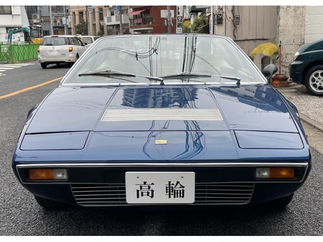 1977 Ferrari Dino 308 GT4 GT4, photo 2